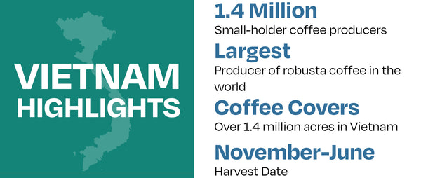 رسوم بيانية لأبرز الأحداث في فيتنام