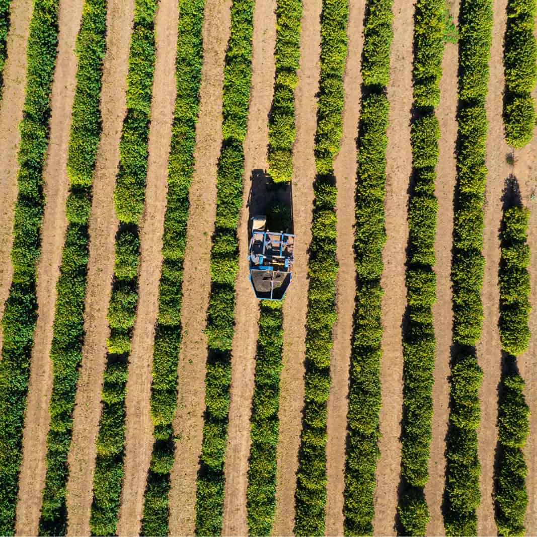 FDV-other_800 x 8003