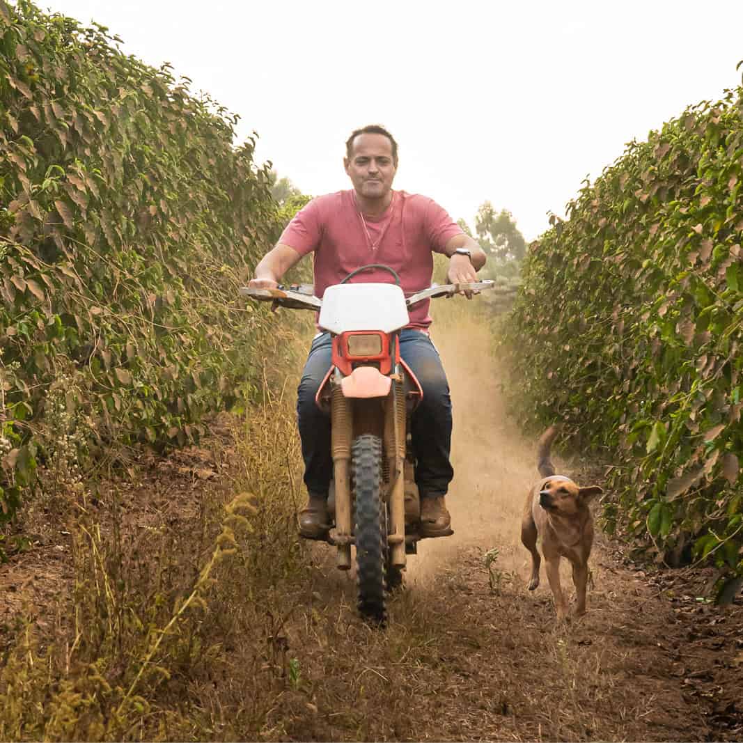 RealRoots-other_800 x 8003