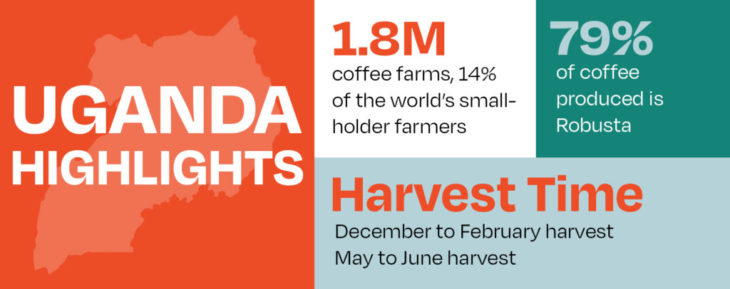 Uganda destaca infografia com estatísticas